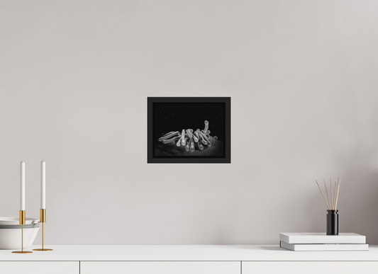 20 x 15 cm, Framed without glass Cosmic Corals