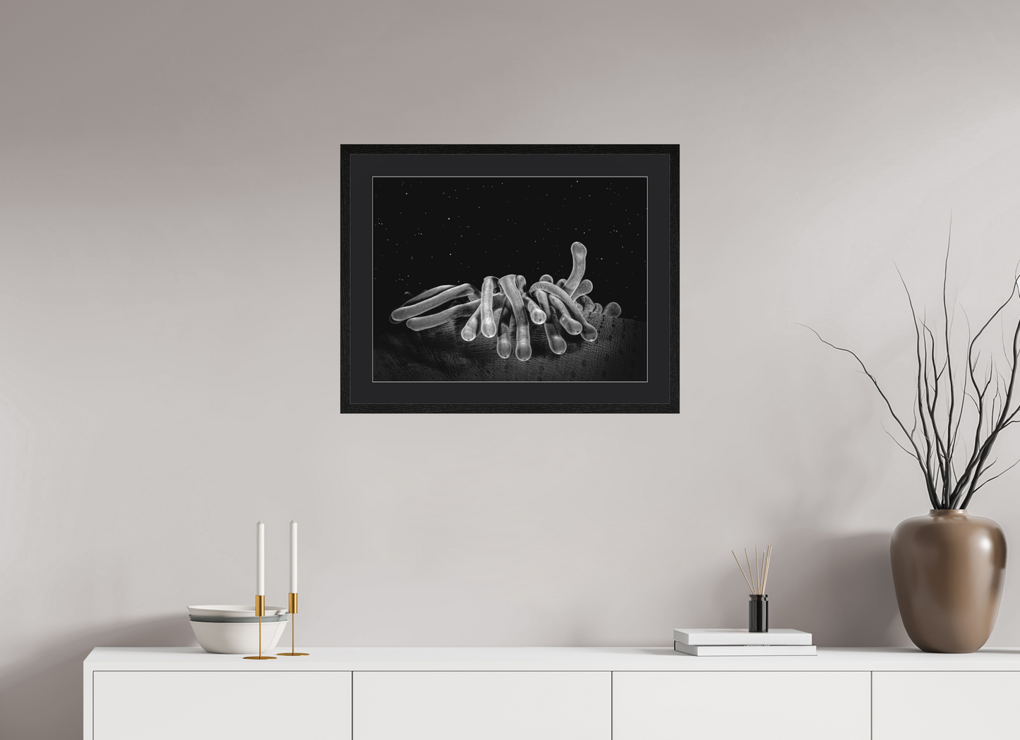 60 x 45 cm, Framed behind museum glass Cosmic Corals