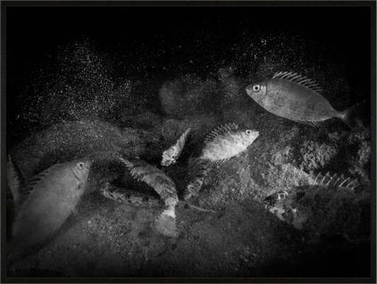 Main image Time to Go to Bed