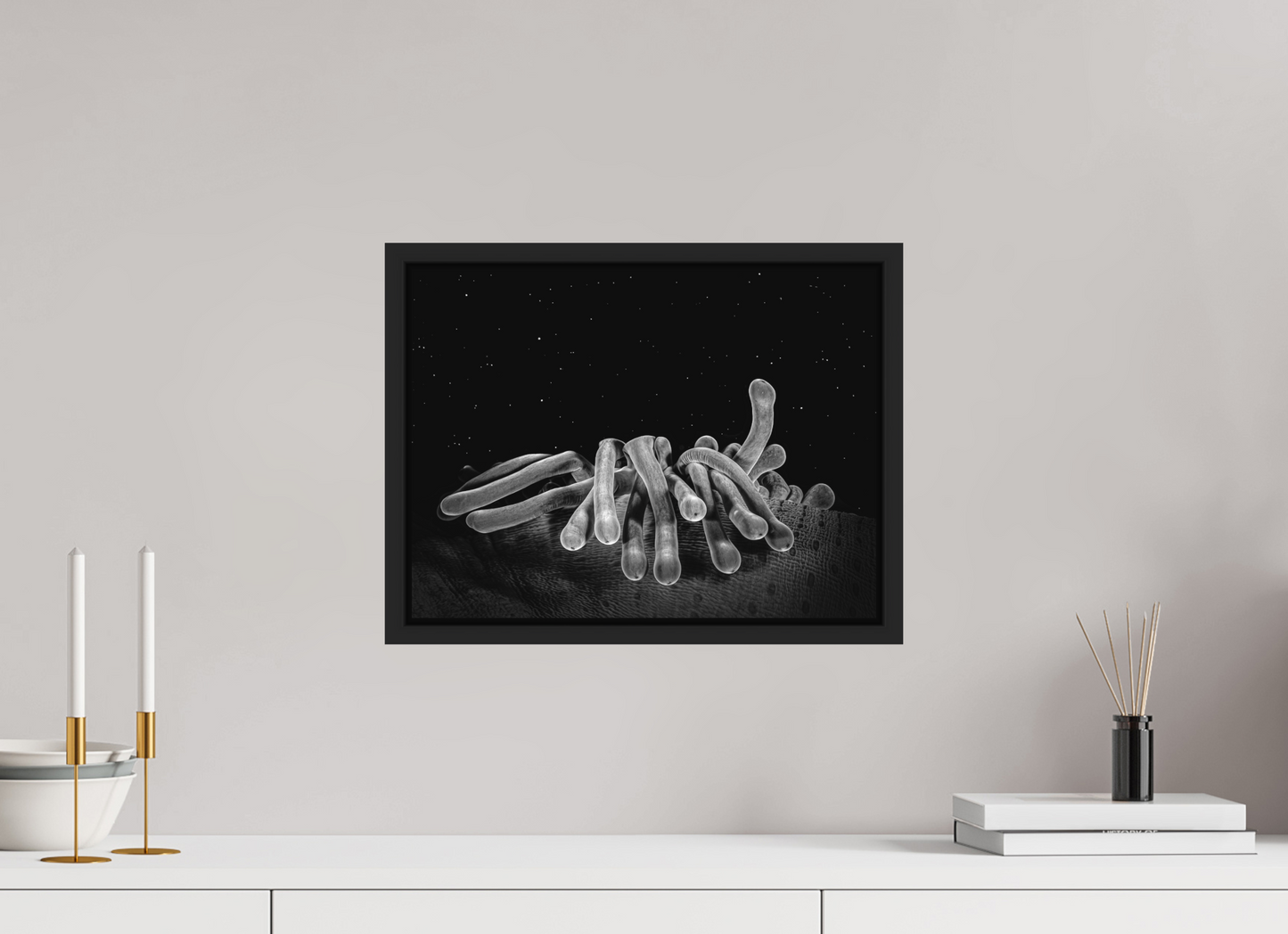 40 x 30 cm, Framed without glass Cosmic Corals
