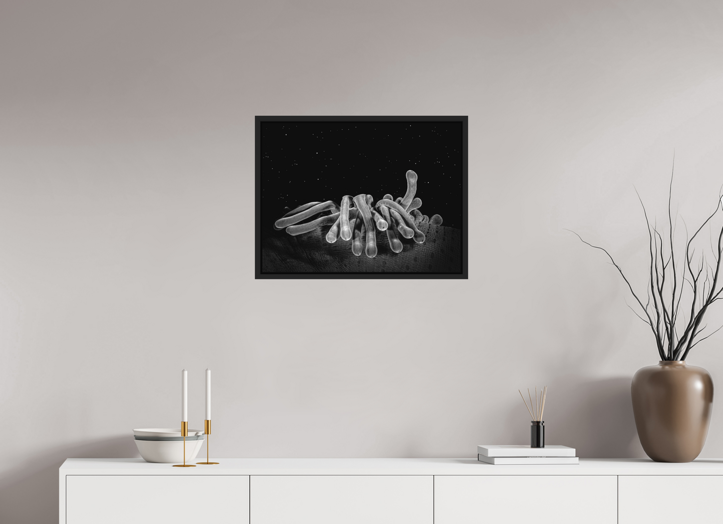 60 x 45 cm, Framed without glass Cosmic Corals