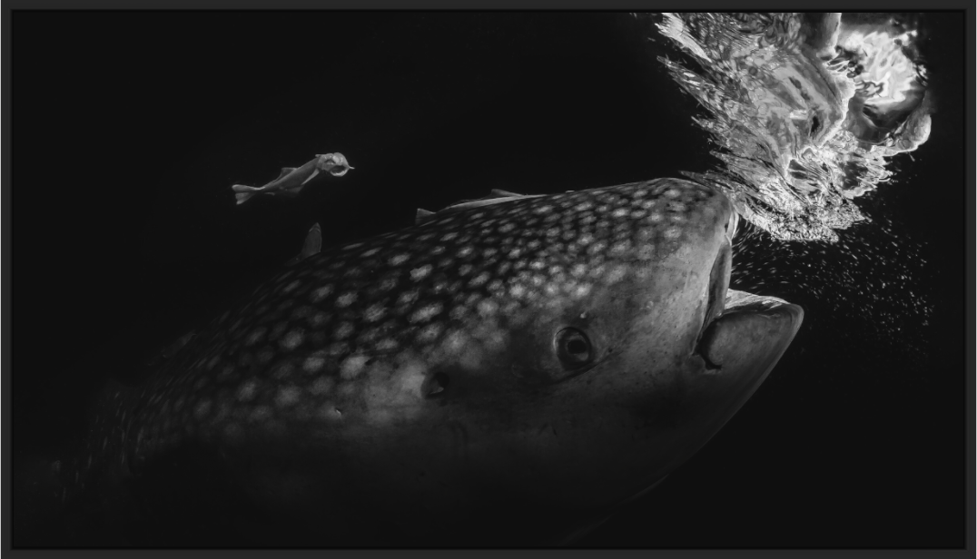 Main image Dinner for Two, 2020