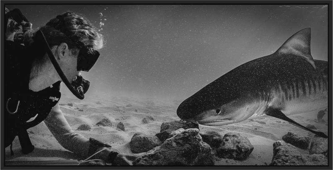 Main image Keep the Eye Contact!