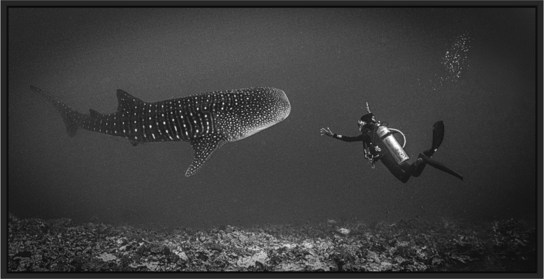 Main image A HUGE Luck